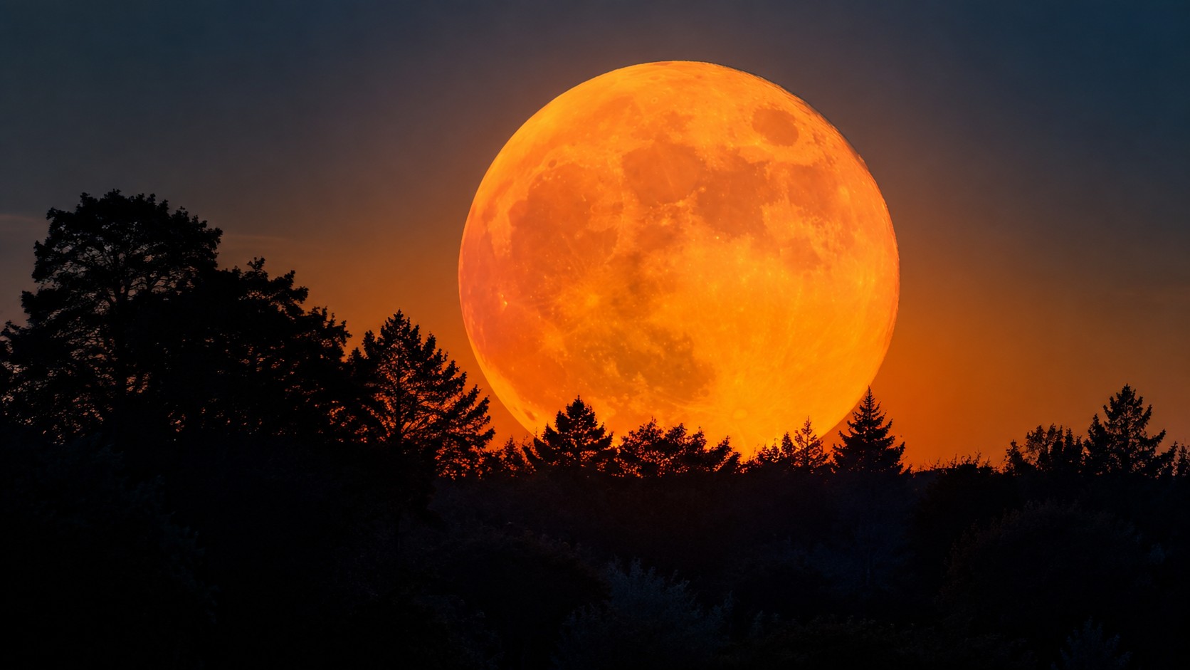L'illusione della Luna gigante vicino all'orizzonte