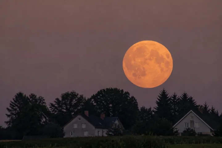 La Luna vicina all'orizzonte, apparentemente più grande per il confronto visivo con case e alberi in primo piano