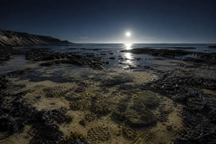 Rappresentazione scientifica di antiche pozze di marea sulla costa terrestre primordiale, influenzate dalla vicina Luna