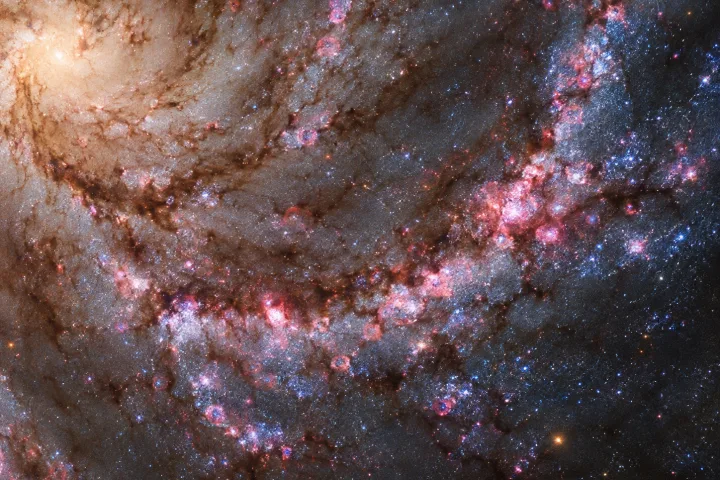 Una galassia a spirale vista dall'alto, con bracci luminosi pieni di giovani stelle azzurre